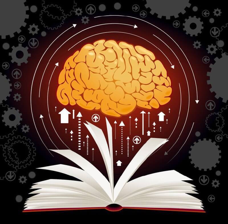 Як впливає читання на пам'ять?